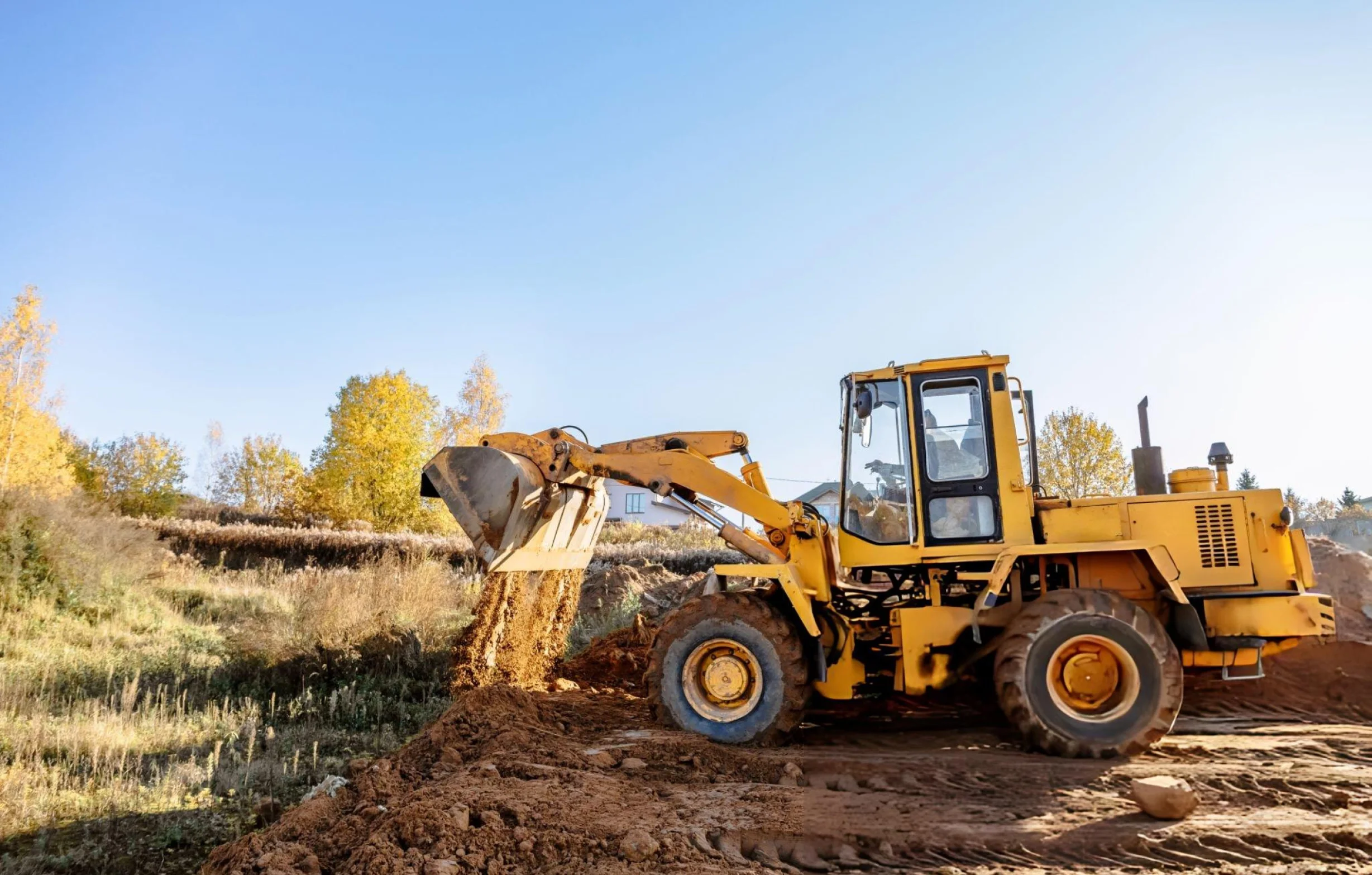 Big Dirt Removal