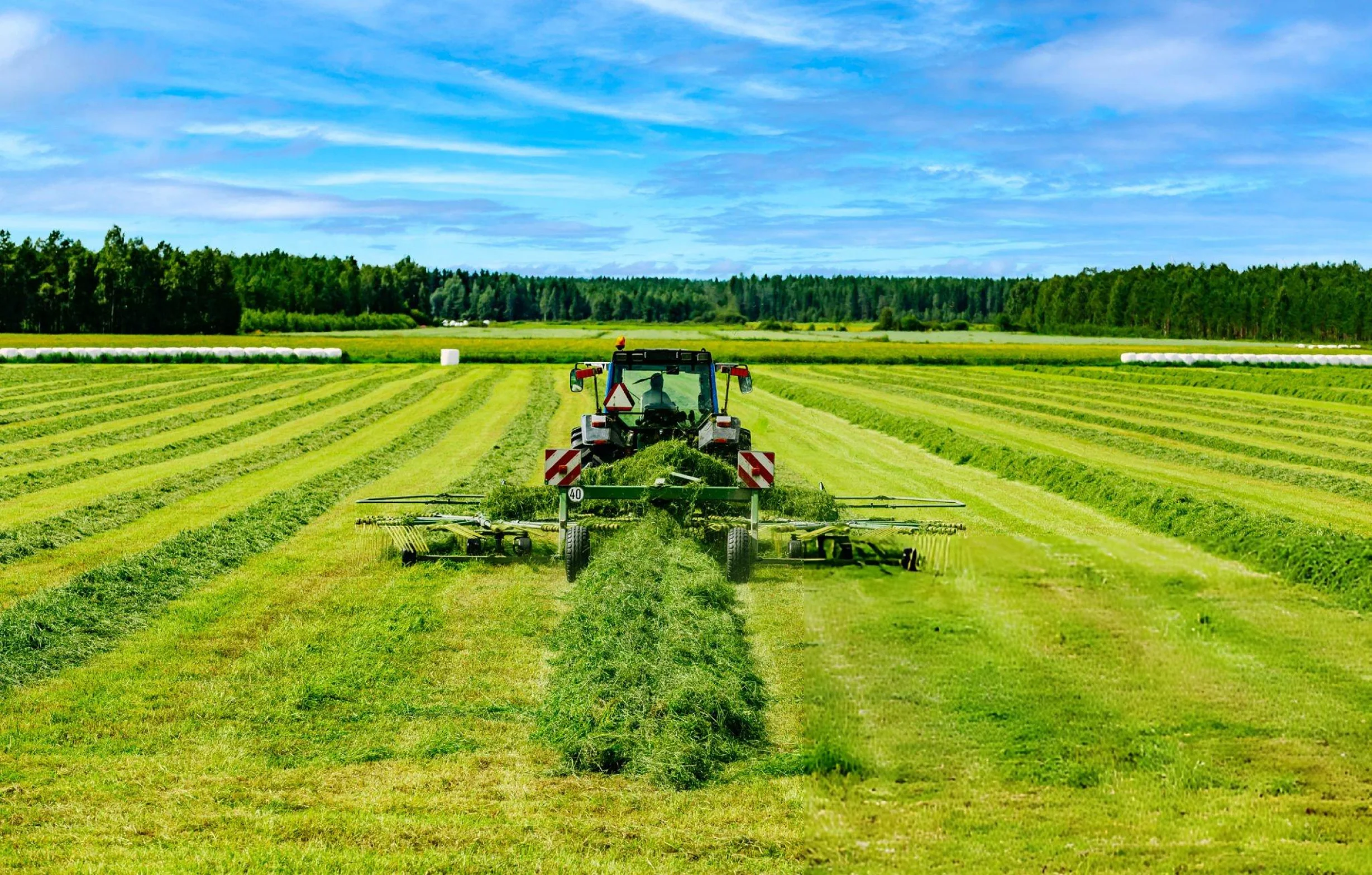 Mowing service