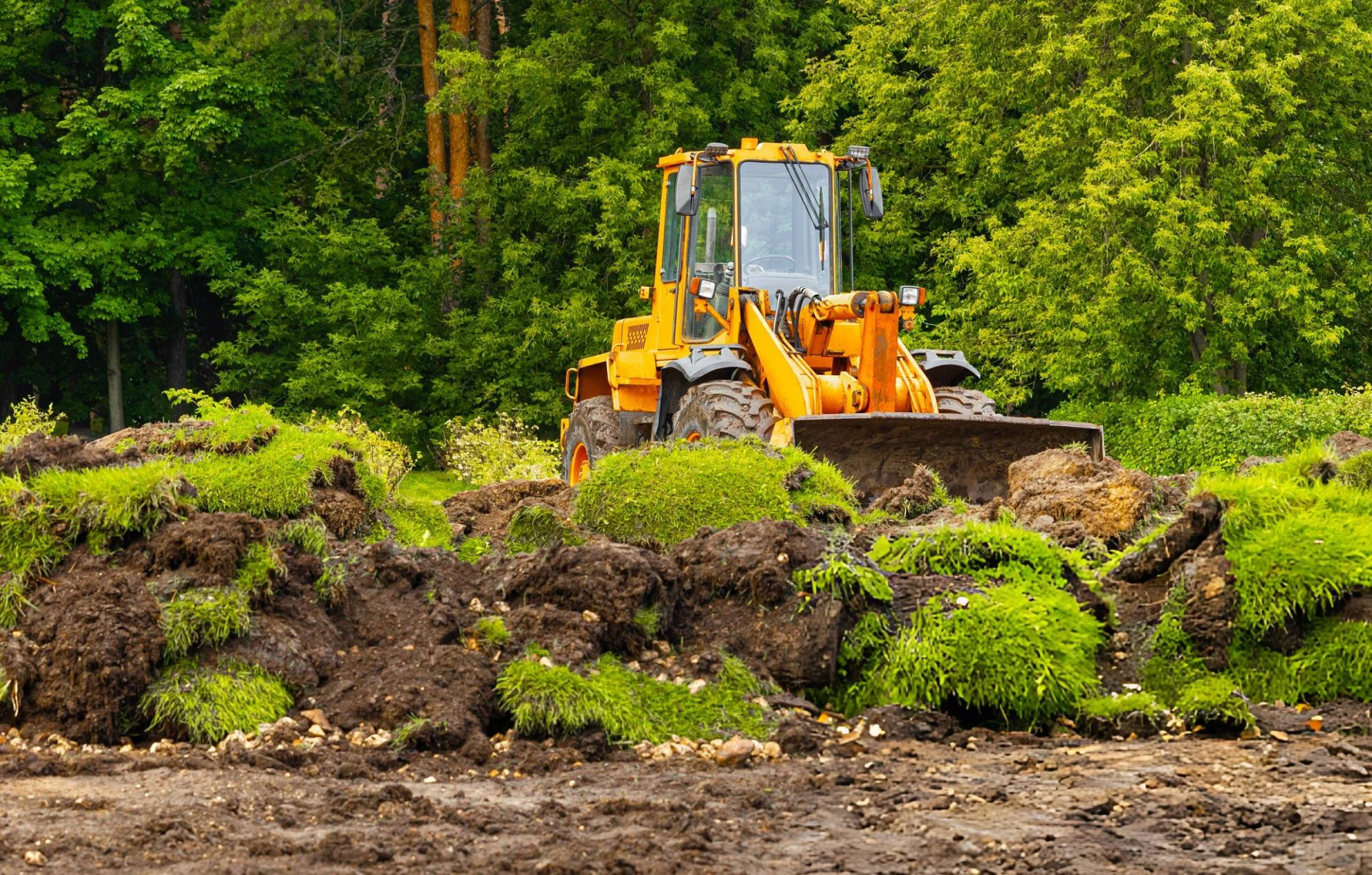 Yellow loader clearing soil and grass in a forested construction area