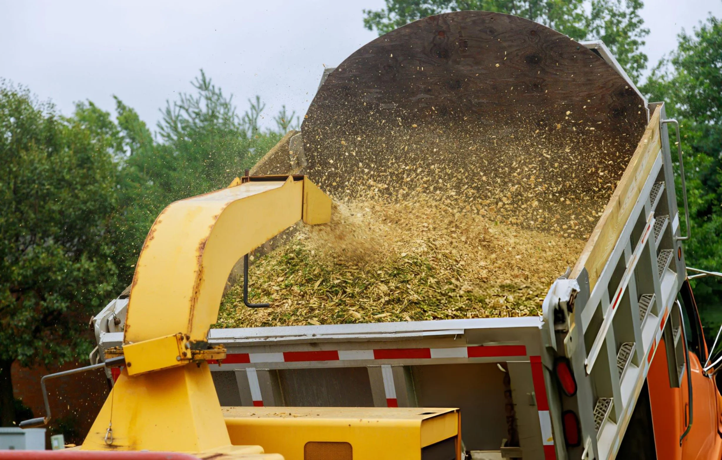 Wood chipper blowing shredded tree branches into a collection truck