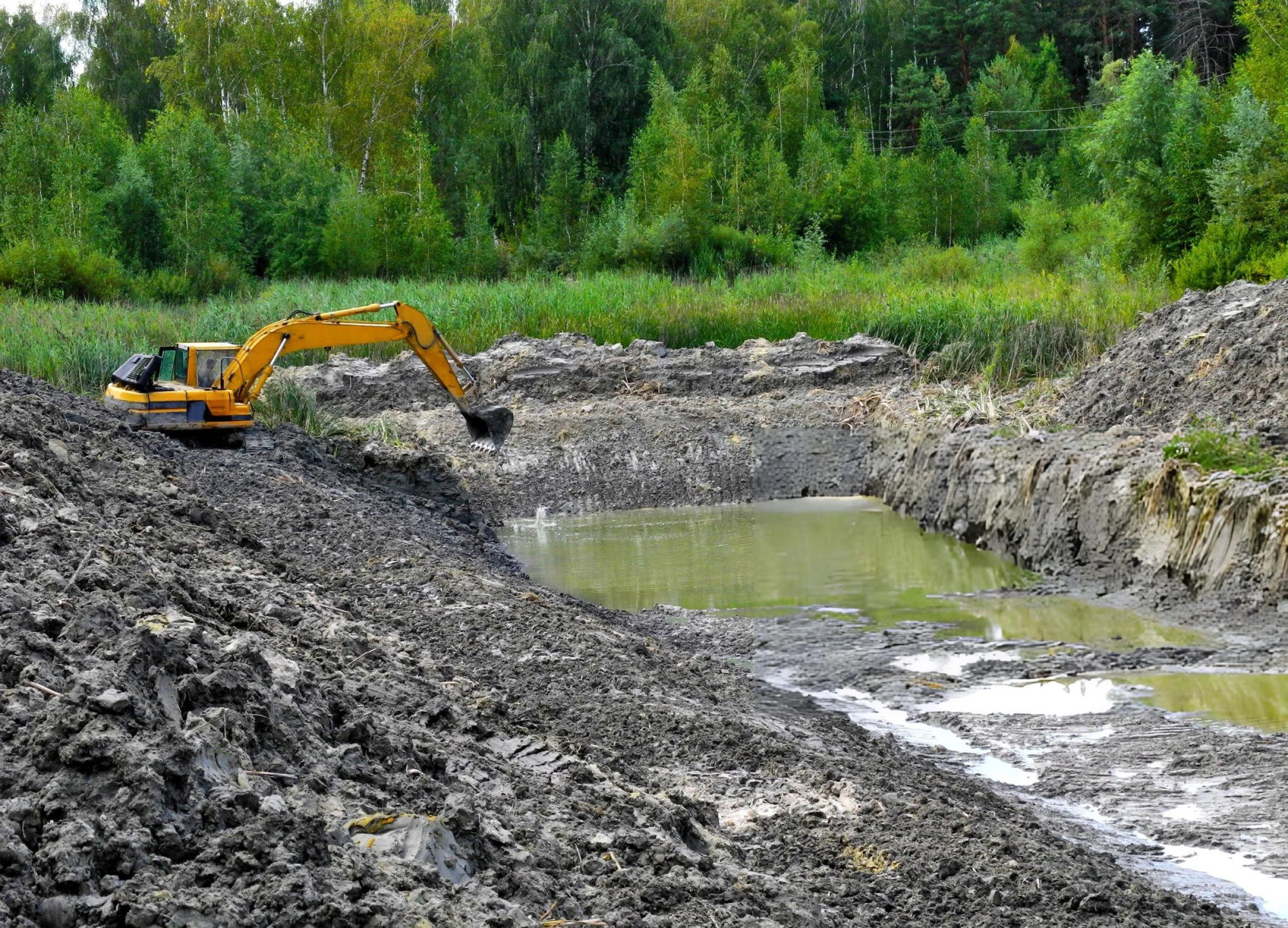 Excavator digging a pond in a forested area