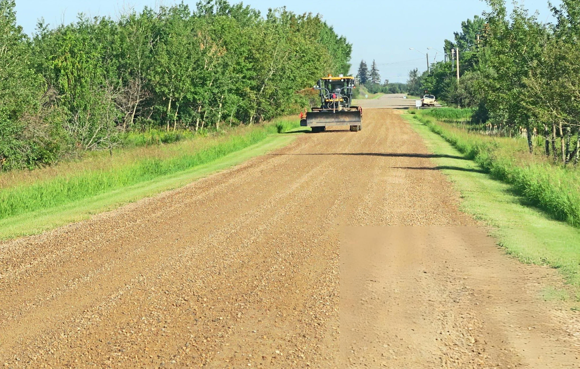 Road roller compacting a gravel road surrounded by trees