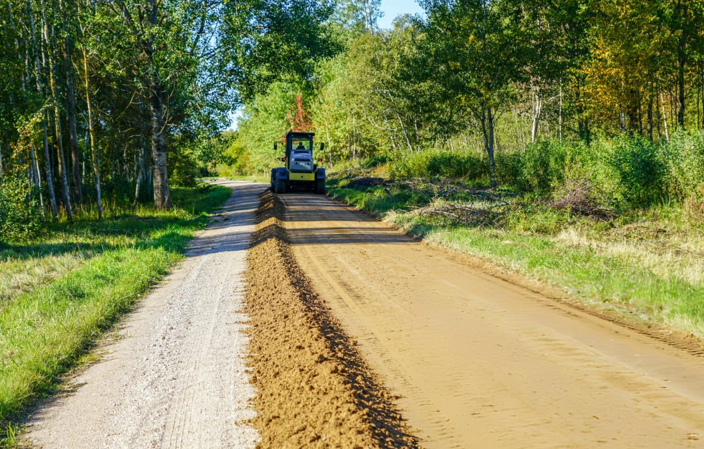 Road roller compacting a dirt road through a wooded area