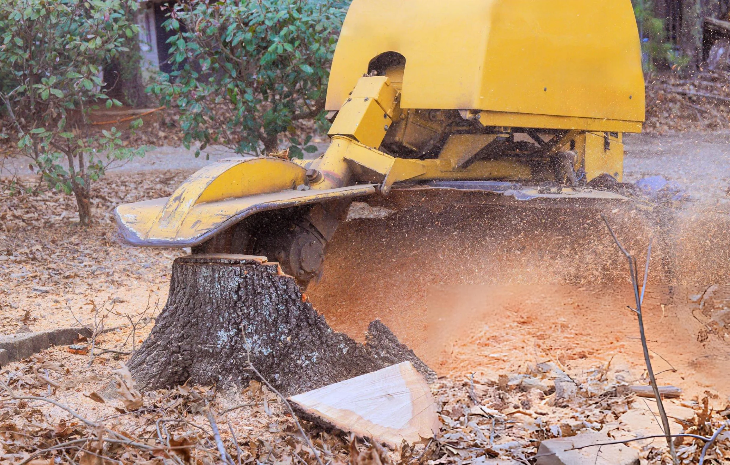 Tree Grinding
