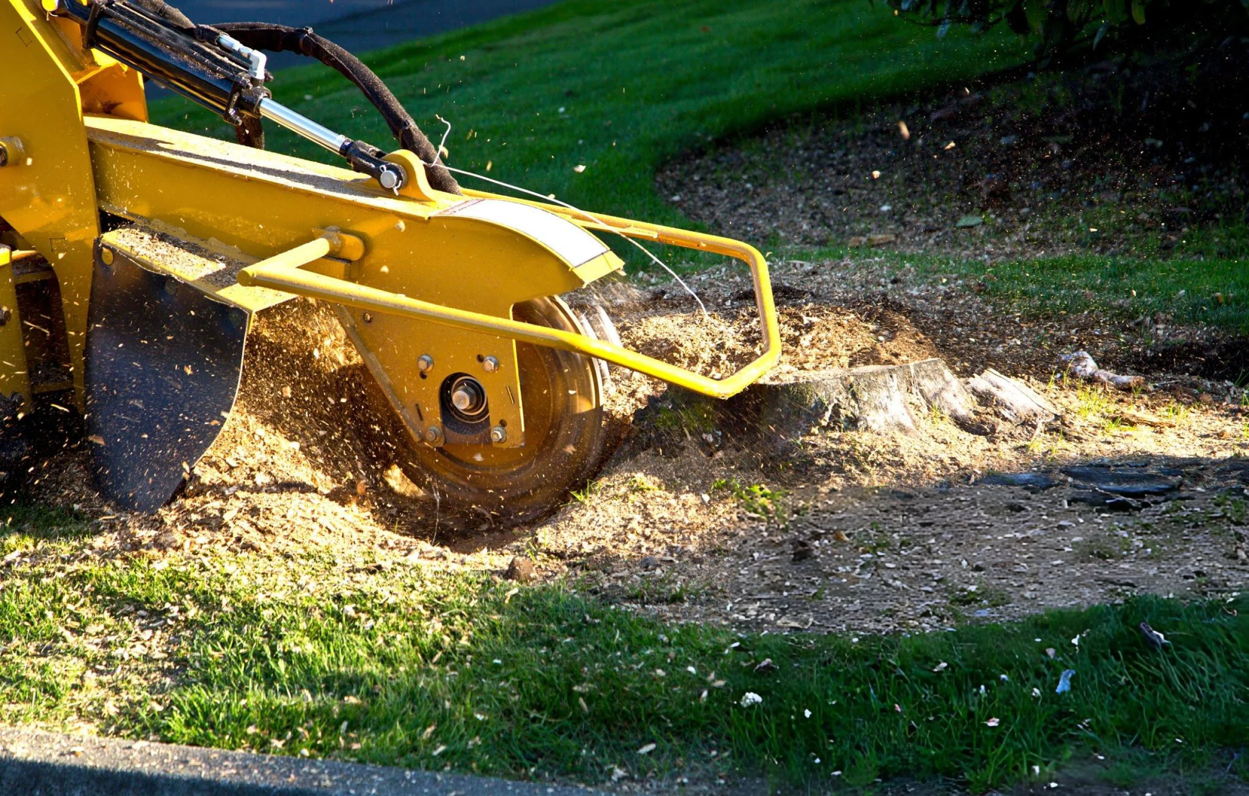 Yellow stump grinder removing a tree stump and scattering wood chips beside a grassy lawn.