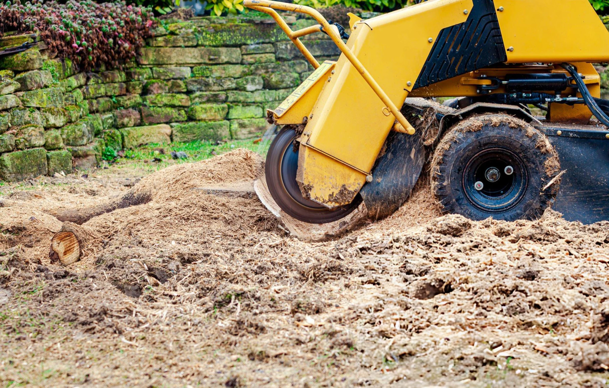 Yellow stump grinder clearing a tree stump and wood debris from a dirt-covered area.