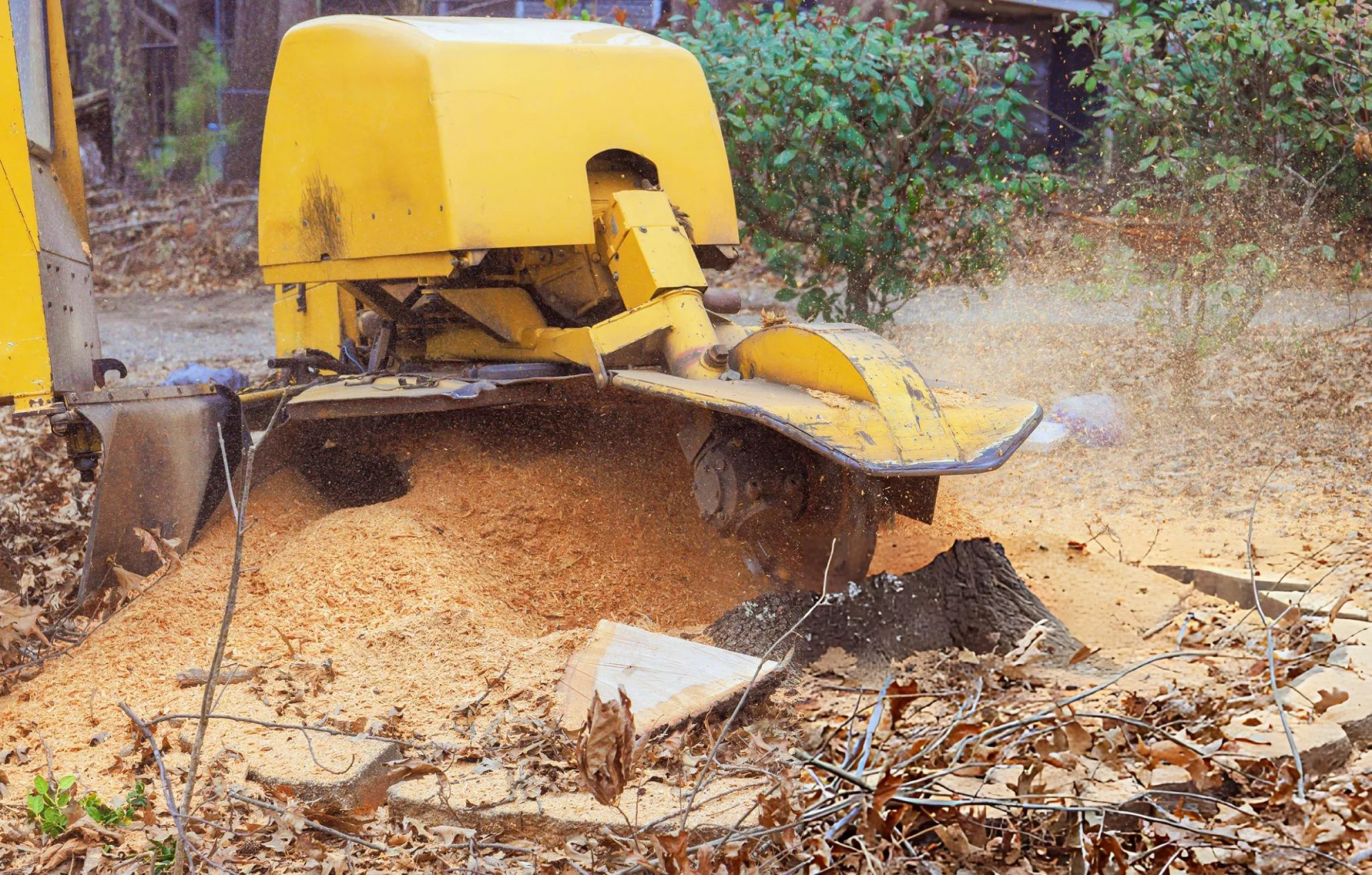 Tree Grinding