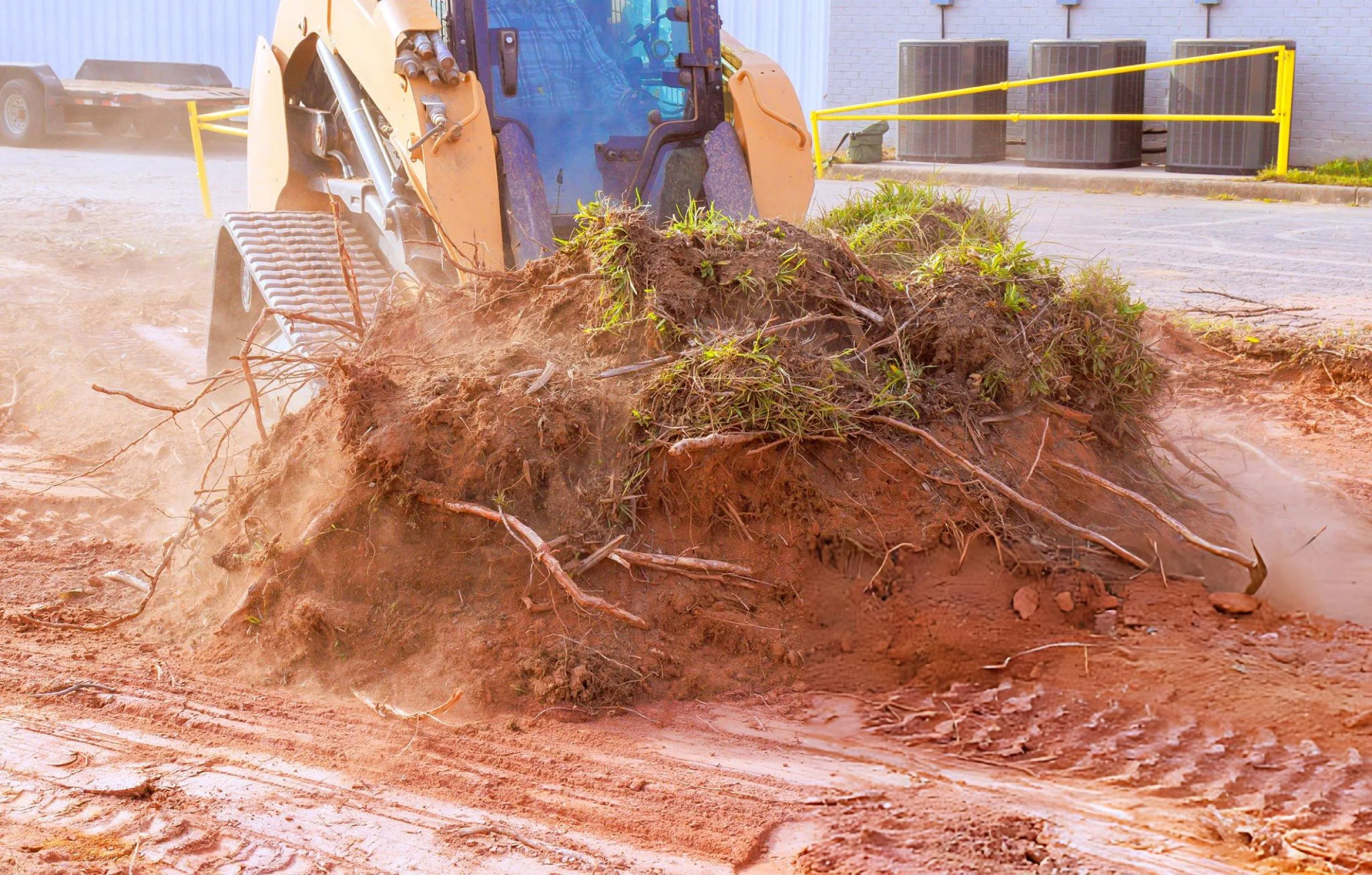 Vegetation Removal
