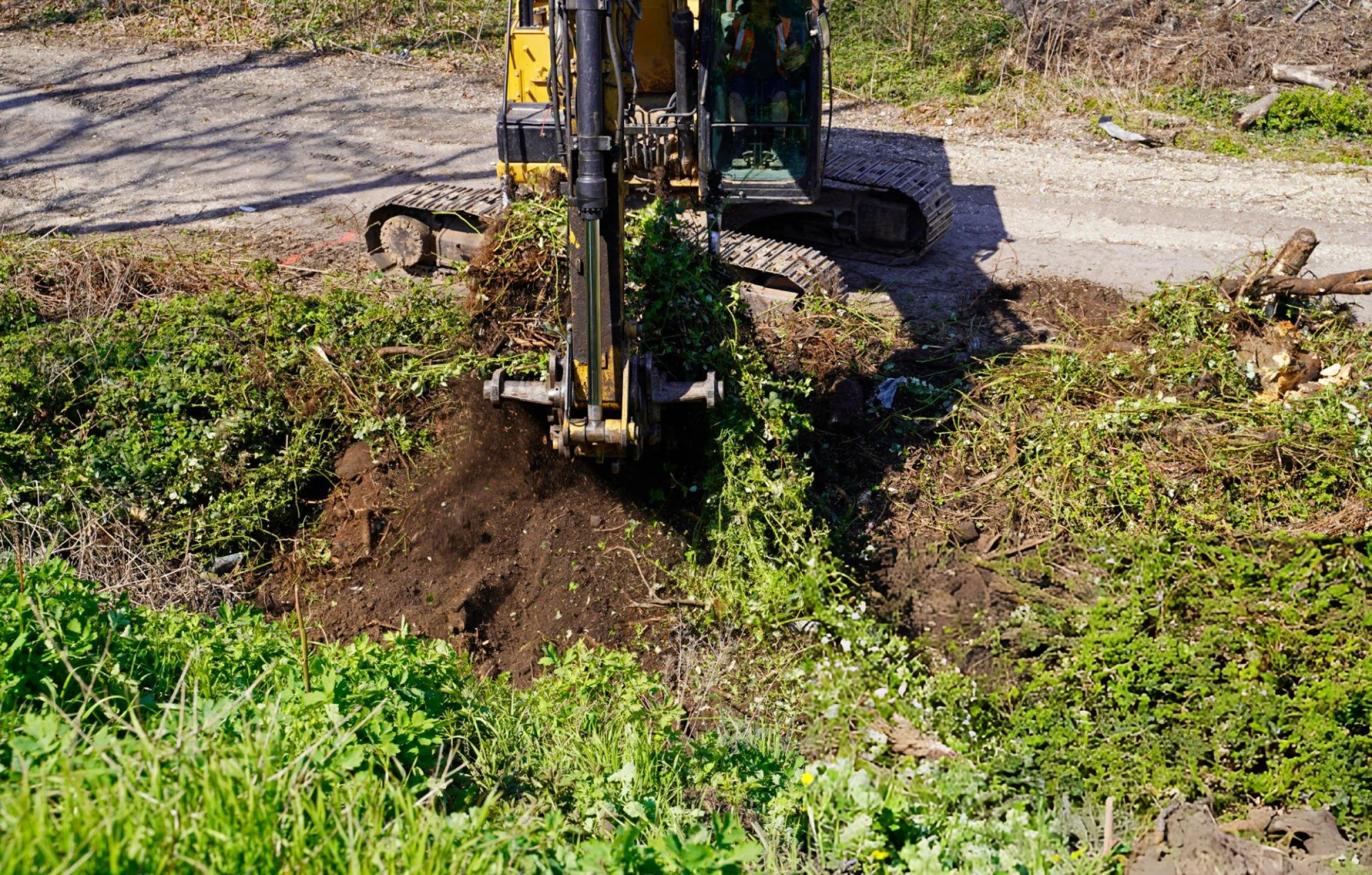 Vegetation Removal
